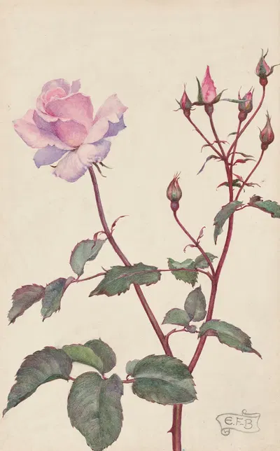Lady Pirrie Rose by Элеонор Фортескью-Брикдейл — digital art print download