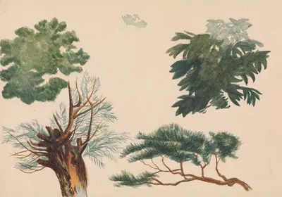 Trees and Foliage by Richard Pettigrew Leitch — digital art print download