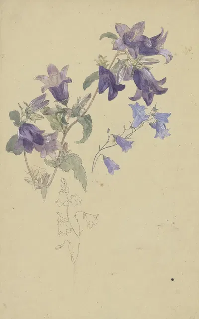 Bluebells by Вильгельм Штайнхаузен — digital art print download