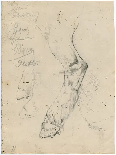 Cow's paw by Floris Verster, 1877 — digital art print download