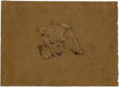 Head of a dog by Floris Verster, 1874 — digital art print download