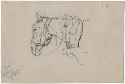 Horse with harnes by Floris Verster — digital art print download