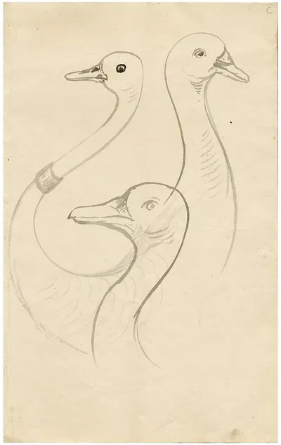 Three heads of gooses. Leaf of a sketchbook by Floris Verster — digital art print download