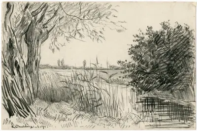Gezicht op sloot en weilanden bij Leimuiden by Франс Смиссерт, 1894 — digital art print download