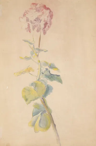 Étude de fleur by Ипполит Петижан, 1897 — digital art print download