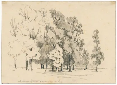 Groepje bomen in Kensington Gardens by Питер ван Лун, 1856 — digital art print download