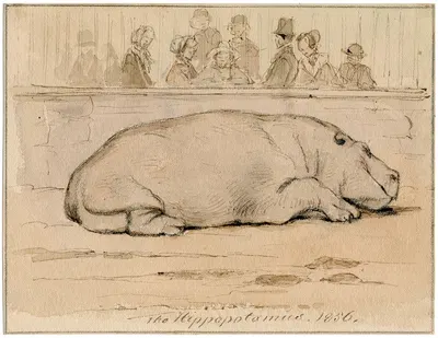 Het nijlpaard in de Engelse dierentuin by Питер ван Лун — digital art print download