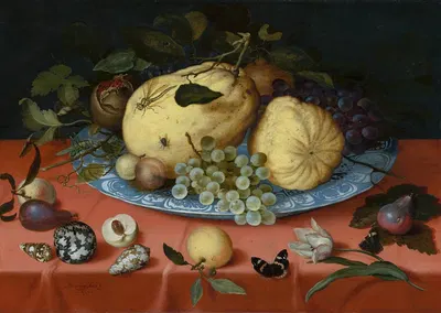 Fruit Still Life with Shells and Tulip by Balthasar van der Ast, 1620 — digital art print download