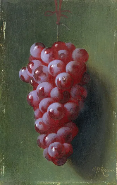 Still Life with Grapes by Carducius Plantagenet Ream — digital art print download