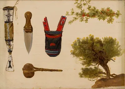 Studies of Beaded Scabbard and Knife, Decorated Pouch, Stone Axe, Branch of Bull Berry, and Hill Sage by Шарль Фердинанд…