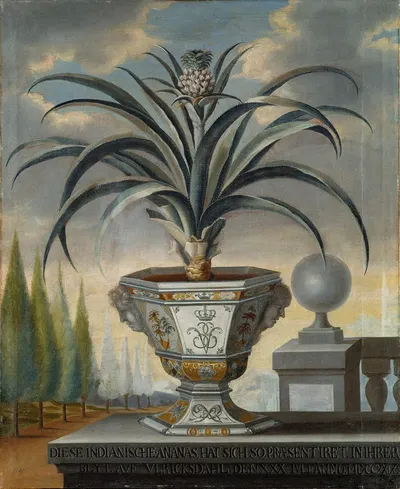 Pineapple plant by Дэвид фон Кёльн, 1729 — digital art print download