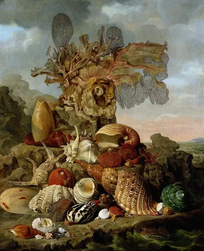 Shells and Marine Plants by Генрикус Францискус Виртц, 1809 — digital art print download
