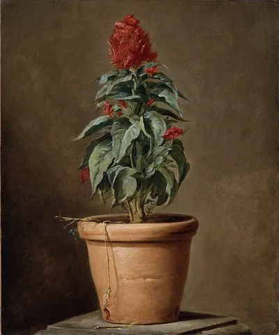 A Potted Plant by Henri-Horace Roland Delaporte — digital art print download