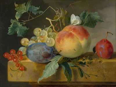 Fruit Still Life by Ян ван Хёйсум — digital art print download