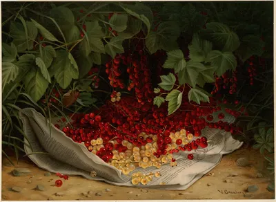 Currants by Virginia Granberry — digital art print download