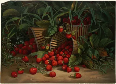 Strawberries by Virginia Granberry — digital art print download