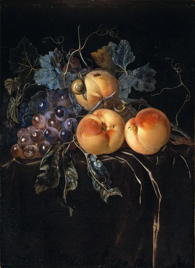 Still Life with Peaches and Grapes by Willem van Aelst — digital art print download