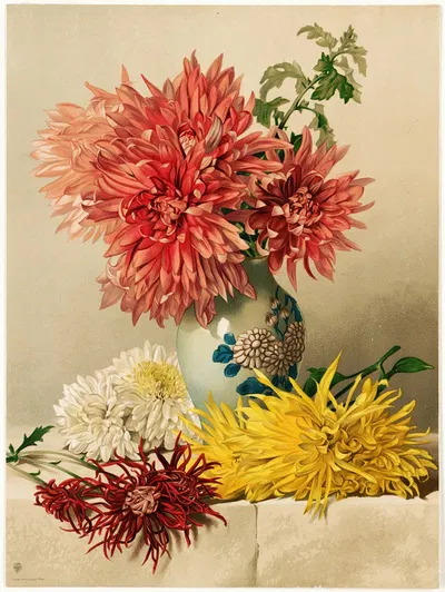 Chrysanthemums by William Duffield, 1883 — digital art print download