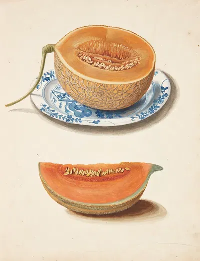 Studie af to netmeloner, halveret og kvadreret by Johanna Fosie, 1755 — digital art print download