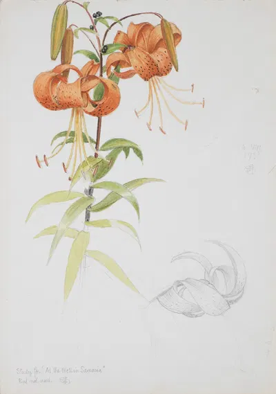Tiger Lily by Джозеф Эдвард Саутолл — digital art print download
