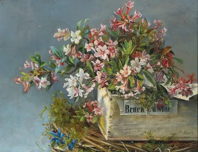 Alpine Roses In A Window Box by Andreas Lach — digital art print download