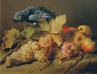 Stillleben Mit Papagei Und Trauben by Эразм фон Энгерт, 1830 — digital art print download
