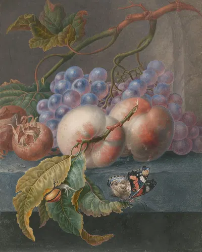 Fruits With A Butterfly And A Snail by Herman Henstenburgh, 1677 - 1726 — digital art print download