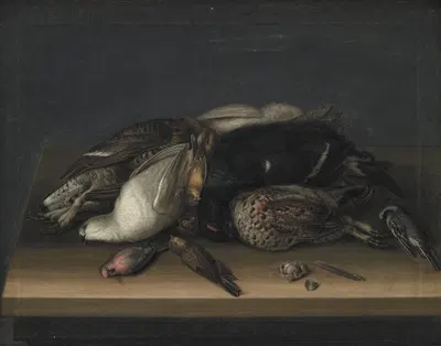 Wildfowl On A Wooden Table by Jacob Biltius, 1648 – 1681 — digital art print download