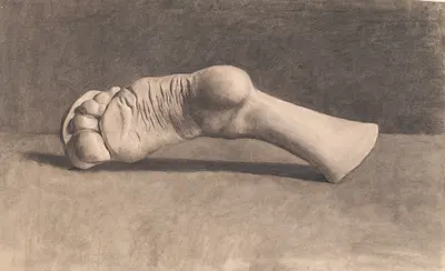 Tegning Efter Gips. En Fod by Йоаким Сковгорд, 1869 - 1874 — digital art print download