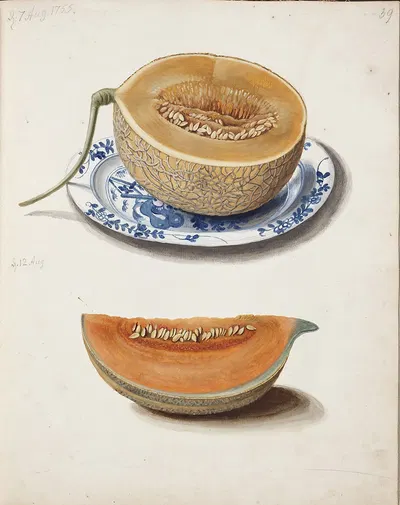 Studie Af To Netmeloner, Halveret Og Kvadreret by Johanna Fosie, 1755 — digital art print download