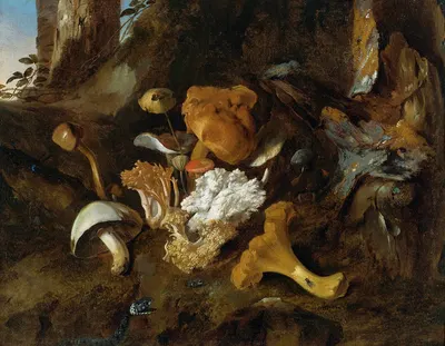 Forest Floor Still Lifes With Mushrooms, Butterflies And A Snake by Отто Марсейус ван Шрик — digital art print download