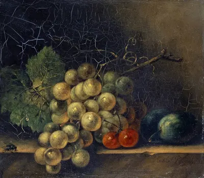 Still Life With Grapes, Stone Fruit And Fly by Rachel Ruysch, 1686 — digital art print download