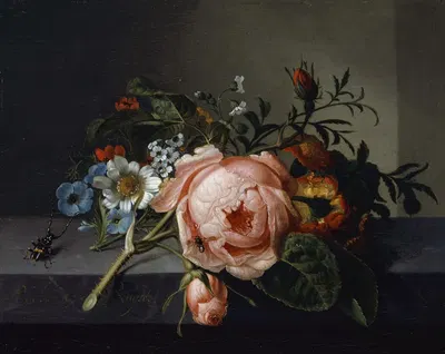 Still Life With Rose Branch, Beetle And Bee by Rachel Ruysch, 1741 — digital art print download