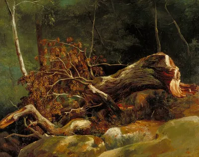 The Fallen Branch, Fontainebleau by Ахиль Этна Мишаллон, c. 1816 — digital art print download