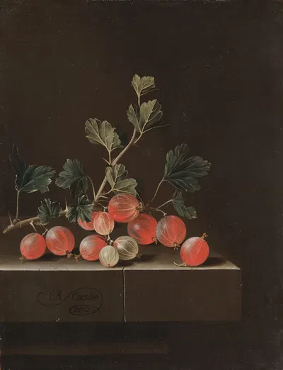 Gooseberries on a Table by Adriaen Coorte, 1701 — digital art print download