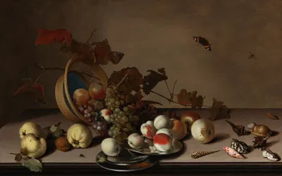 A fruit still life with a wicker basket, shells and a butterfly by Balthasar van der Ast — digital art print download