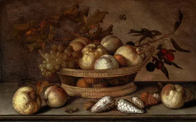 A basket with cherries, apples, peaches and a bunch of grapes, surrounded by apples, peaches, shells, bees and a dragonfly…