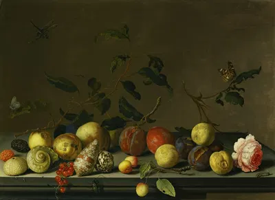 A Still Life Of Fruit And Shells With A Rose And Various Insects Upon A Stone Ledge by Balthasar van der Ast — digital art…