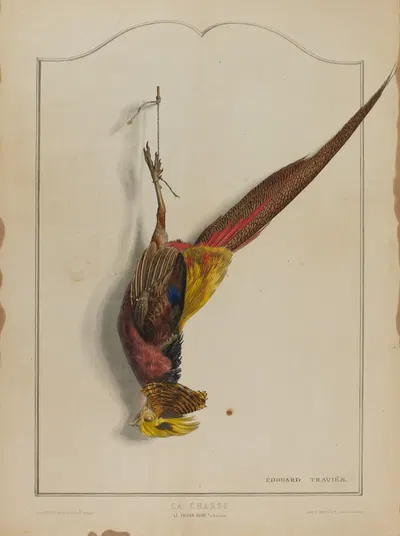 La Chasse; Le Faisan Dore by Édouard Traviès — digital art print download