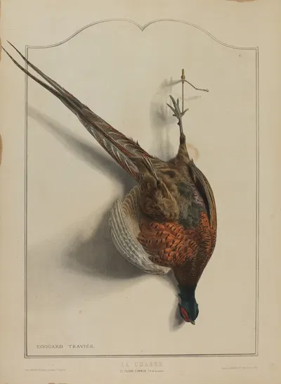 La Chasse; Le Faisan Commun by Édouard Traviès — digital art print download