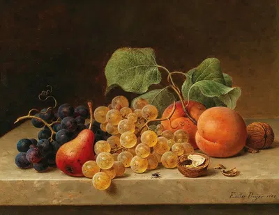 Still Life with Grapes, Peaches, a Pear and Nuts by Emilie Preyer, 1869 — digital art print download