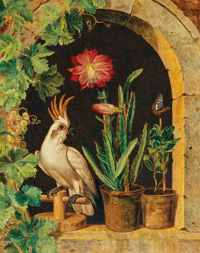 A Cockatoo at the Window with Blooming Cactus and Butterfly by Фердинанд Кюсс, 1835 — digital art print download