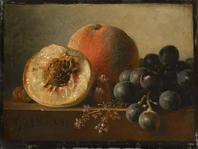 Vruchten by Georgius Jacobus Johannes van Os, 1802-1861 — digital art print download