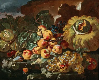 Peaches, apples, plums and cherries by a pumpkin, on a stone ledge by Giovanni Paolo Castelli — digital art print download