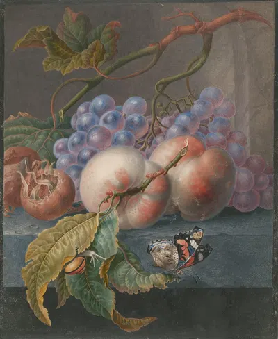 Vruchten met een vlinder en een slak by Herman Henstenburgh, 1677 — digital art print download