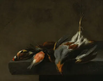 Still Life of Dead Birds by Jan Vonck, c. 1660 — digital art print download