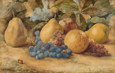 Still Life of Fruit – Apples, Pears, and Grapes on Ground by John William Hill, 1874 — digital art print download