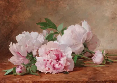 Peonies by Alexandre Gamba de Preydour, 1889 — digital art print download