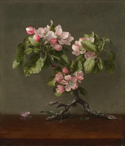 Apple Blossoms by Martin Johnson Heade, 1873 — digital art print download
