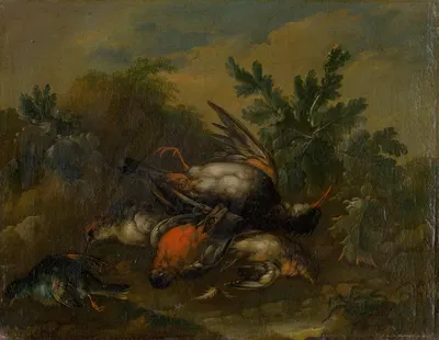 Still Life with Dead Birds by Philipp Ferdinand de Hamilton, 1720–1730 — digital art print download